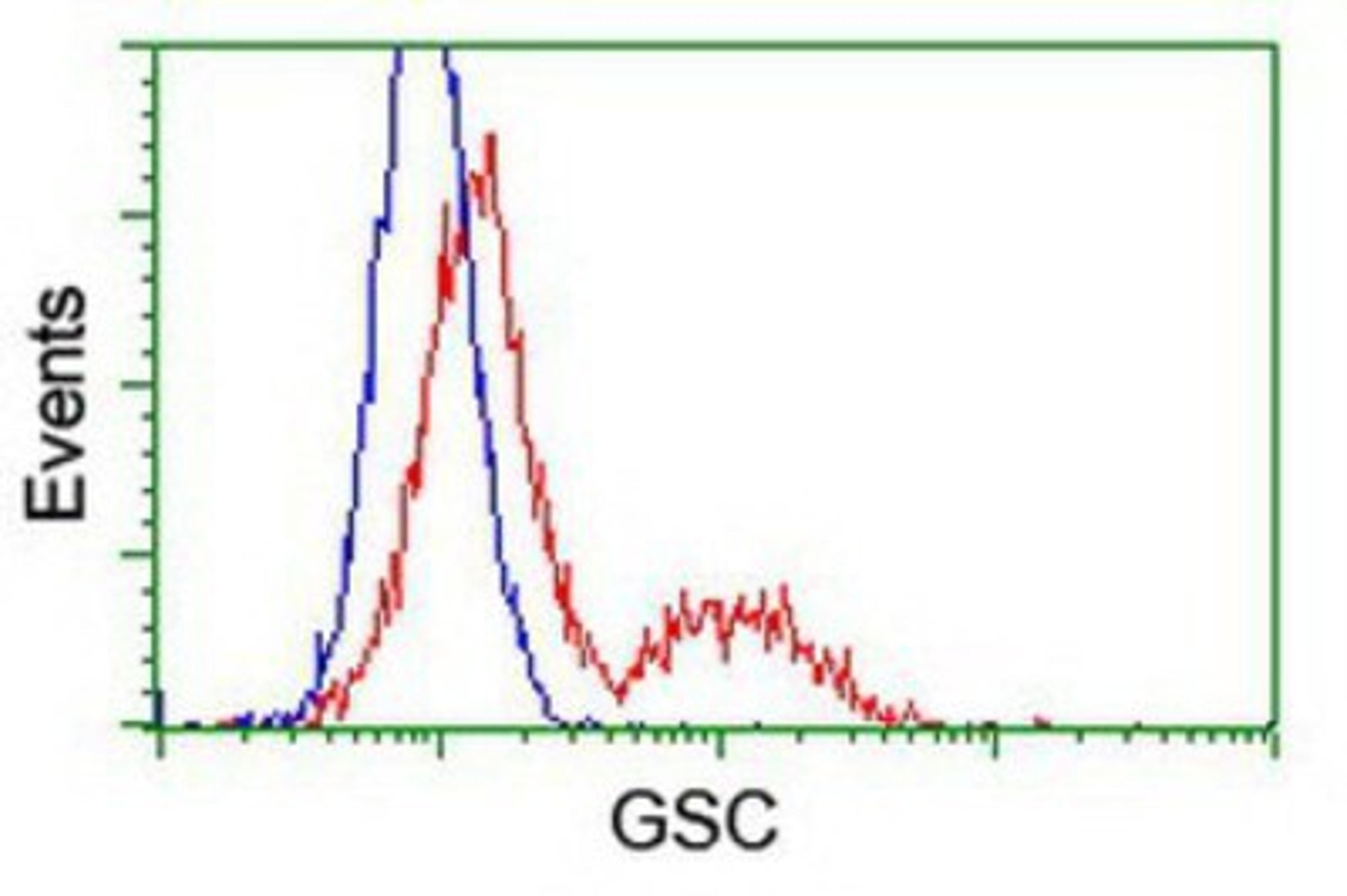 Flow Cytometry: GSC Antibody (1D7) [NBP1-47790] - HEK293T cells transfected with either overexpression plasmid (Red) or empty vector control plasmid (Blue) were immunostained by anti-GSC antibody, and then analyzed by flow cytometry.