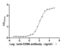 The Binding Activity of CD96 with anti-CD96 antibody. Activity: Measured by its binding ability in a functional ELISA. Immobilized Human CD96(CSB-MP004971HU1(F2)) at 2 μg/mL can bind Anti-CD96 recombinant antibody, the EC<sub>50</sub> is 95.78-127.1 ng/mL.