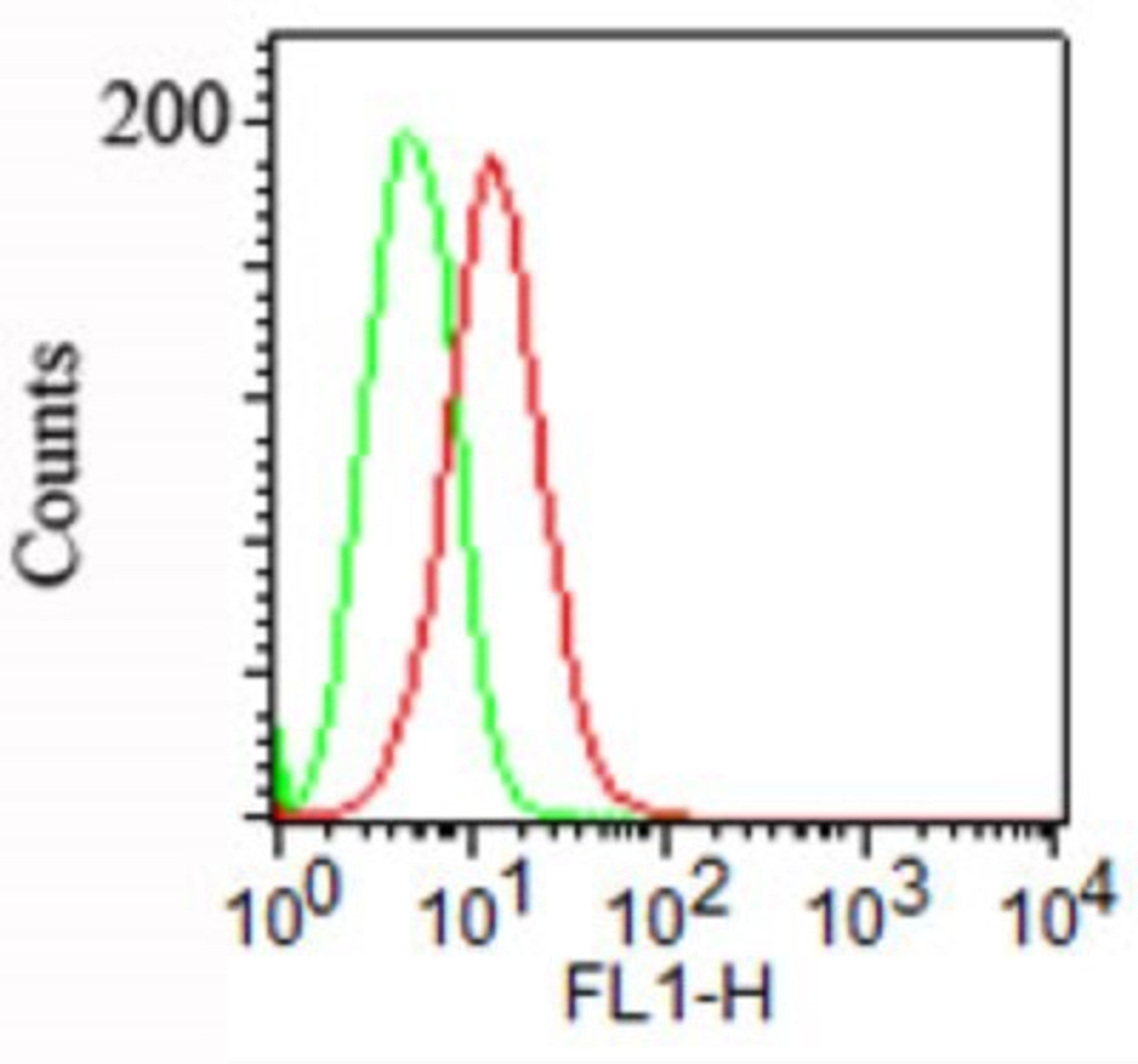 Flow Cytometry: Podocalyxin Antibody (3D3) [NBP2-25219] - Surface staining of NCCIT cells using Podocalyxin antibody at 1 ug/10^6 cells. A FITC-conjugated anti mouse Ig secondary antibody was used along with this antibody .