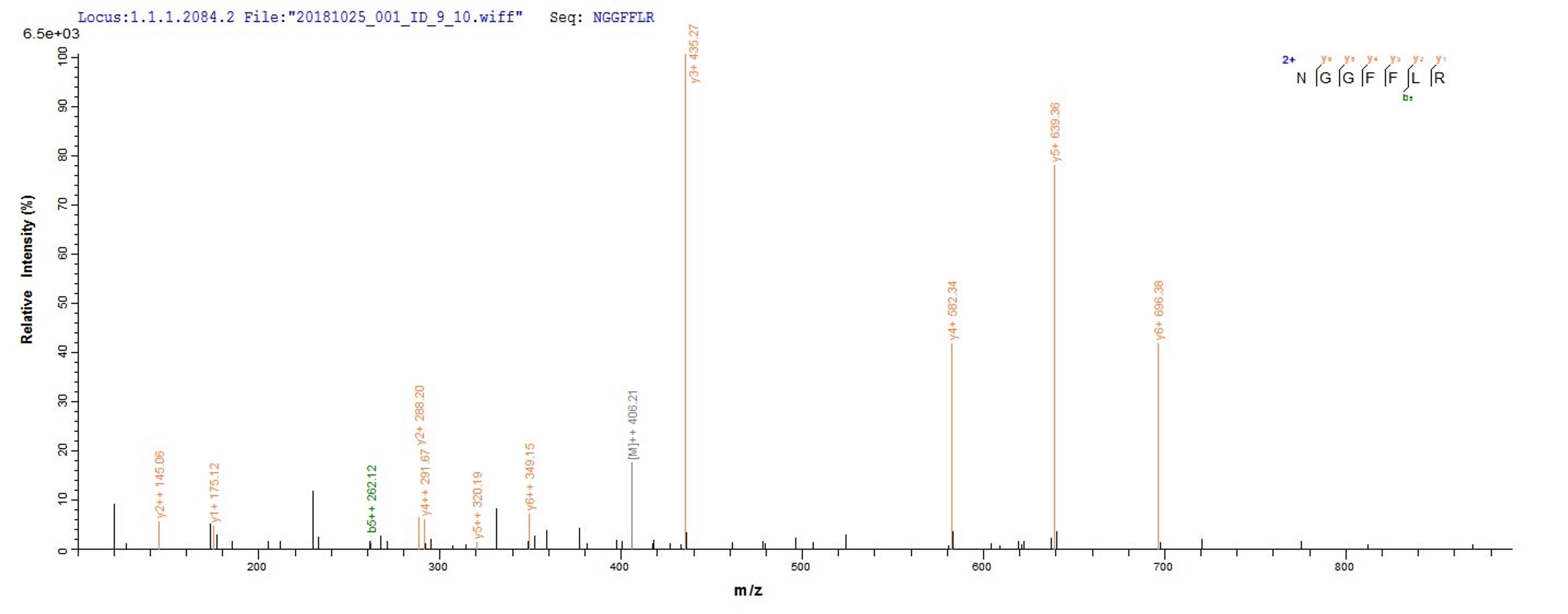 Based on the SEQUEST from database of Yeast host and target protein, the LC-MS/MS Analysis result of CSB-YP008625HU could indicate that this peptide derived from Yeast-expressed Homo sapiens (Human) FGF2.