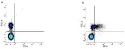 Figure A.  Mouse anti Human CD19. Figure B. Mouse anti Human CD19 and Mouse anti Human CD79b. 