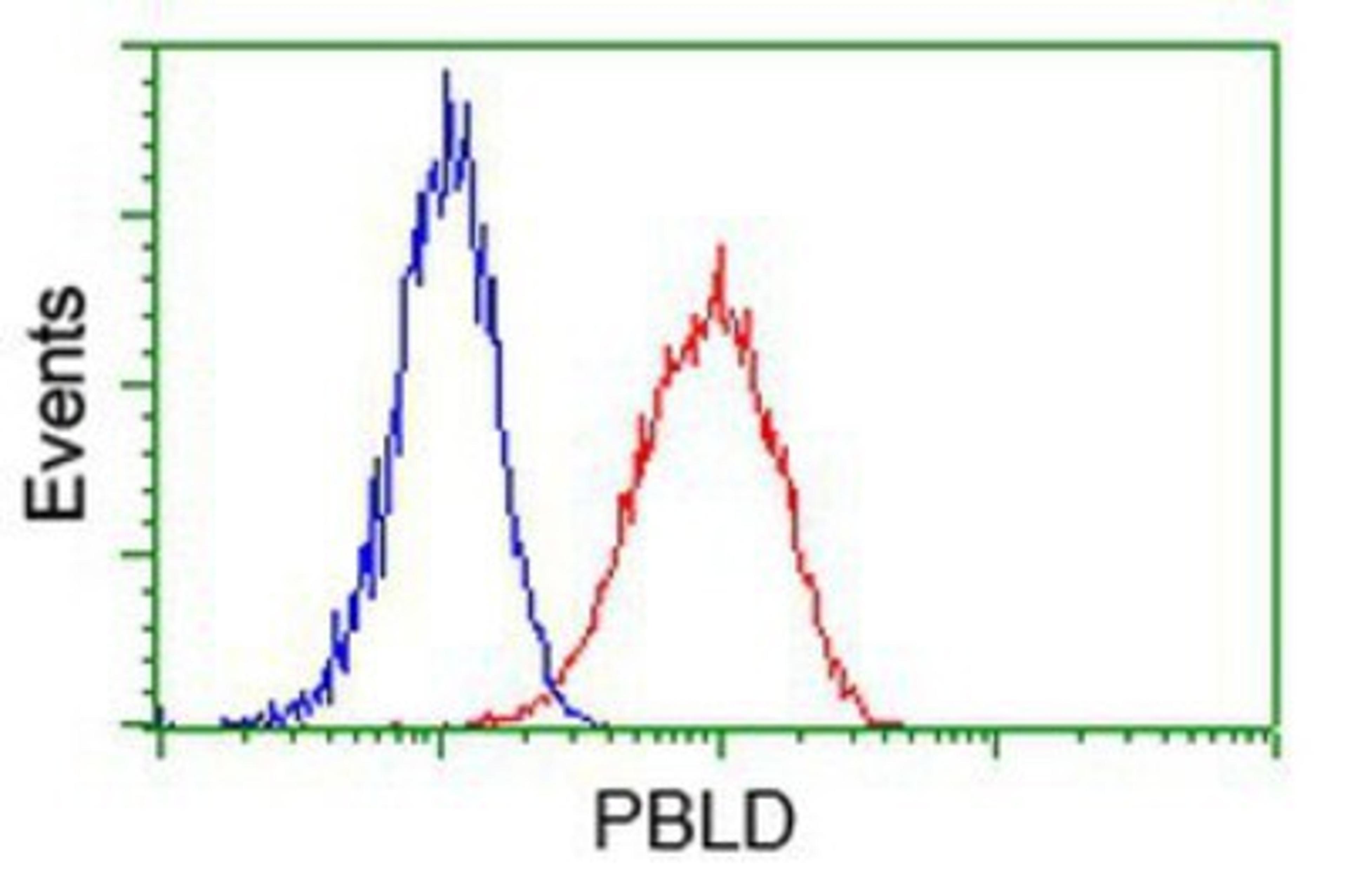 Flow Cytometry: PBLD Antibody (7G5) [NBP2-03265] - Analysis of Hela cells, using anti-PBLD antibody, (Red), compared to a nonspecific negative control antibody (Blue).