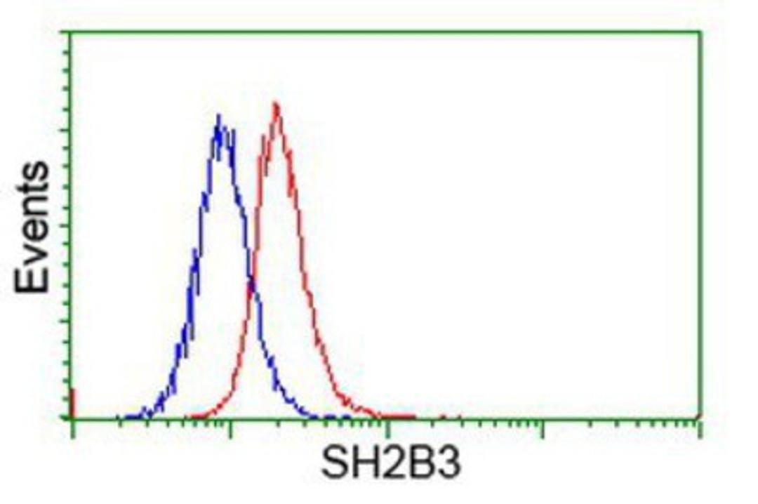 Flow Cytometry: LNK Antibody (2D8) [NBP2-00641] - Analysis of Hela cells, using anti-LNK antibody, (Red), compared to a nonspecific negative control antibody (Blue).