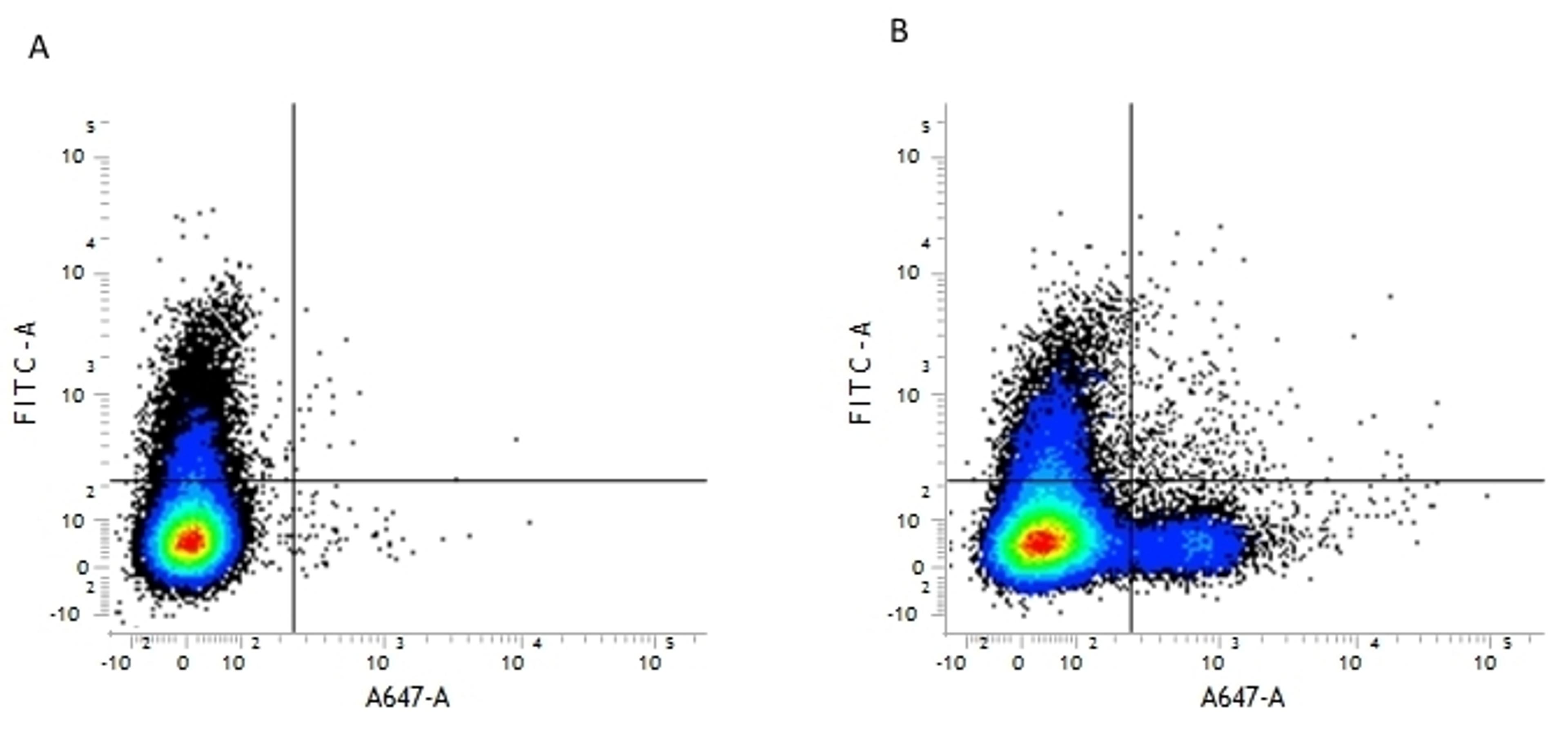 Figure A. rat anti mouse CD169. Figure B. rat anti mouse CD169 and hamster anti mouse CD79b.