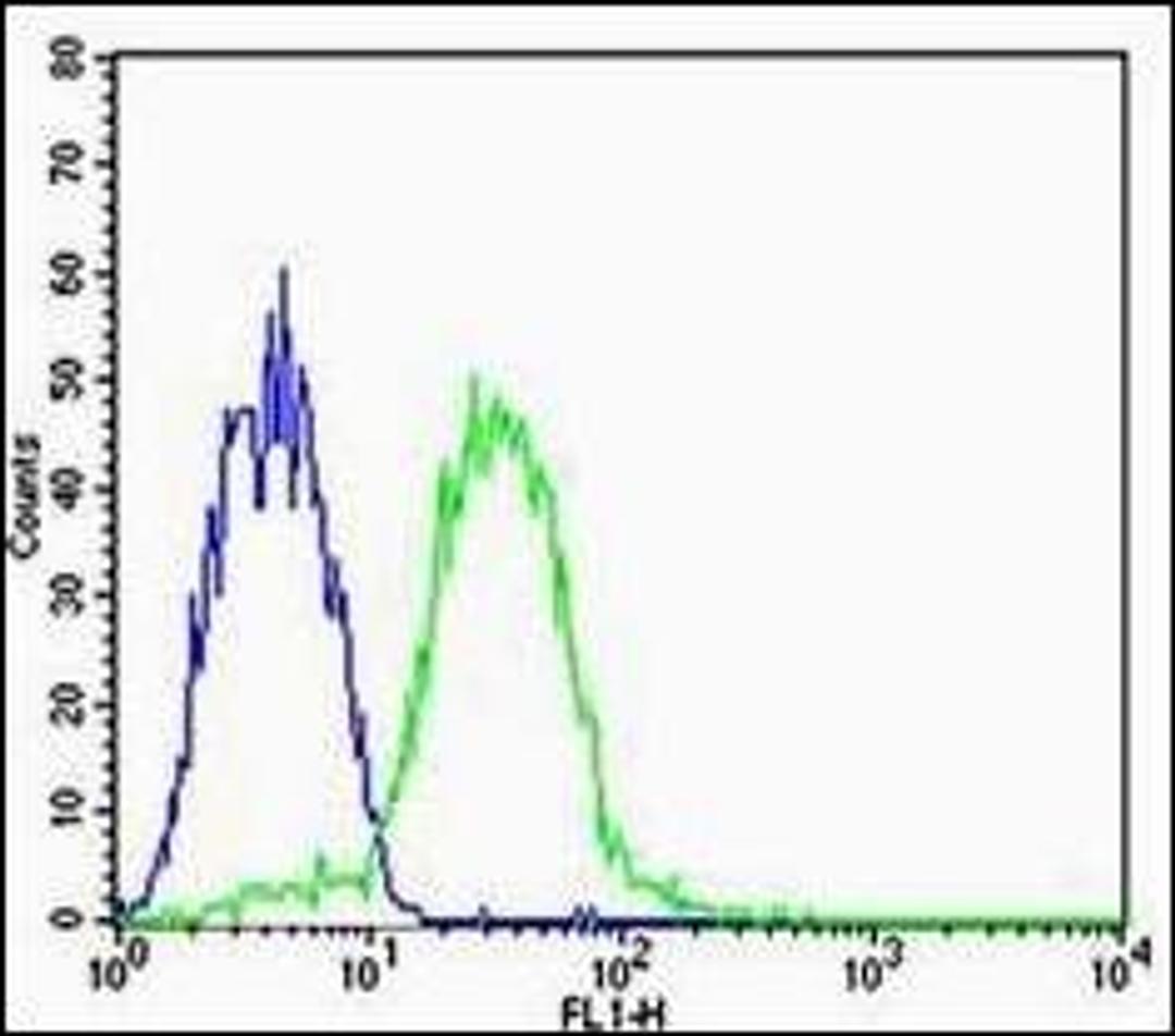 Flow cytometric analysis of HepG2 Cell using CHI3L1 antibody.