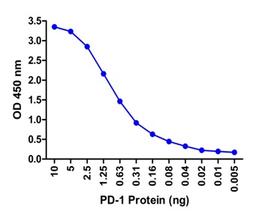 A sandwich ELISA was performed using the anti-PD-1 mAb RF16006 (5 &#956;g/ml) as the capture antibody.  Biotin-labeled anti-PD-1 mAb RF16003-biotin (1 &#956;g/ml) and streptavidin-HRP (0.1 &#956;g/ml) were used for detection.  Detection range is from 10 n