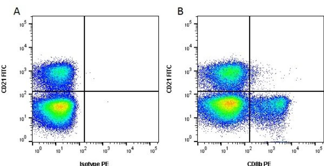 Figure A. mouse anti bovine CD8b. Figure B. mouse anti bovine CD8b and mouse anti bovine CD21