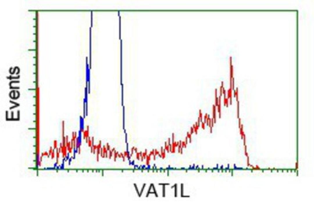 Flow Cytometry: VAT1L Antibody (1H3) [NBP2-02485] - HEK293T cells transfected with either pCMV6-ENTRY VAT1L.(Red) or empty vector control plasmid (Blue) were immunostained with anti-VAT1L mouse monoclonal, and then analyzed by flow cytometry.