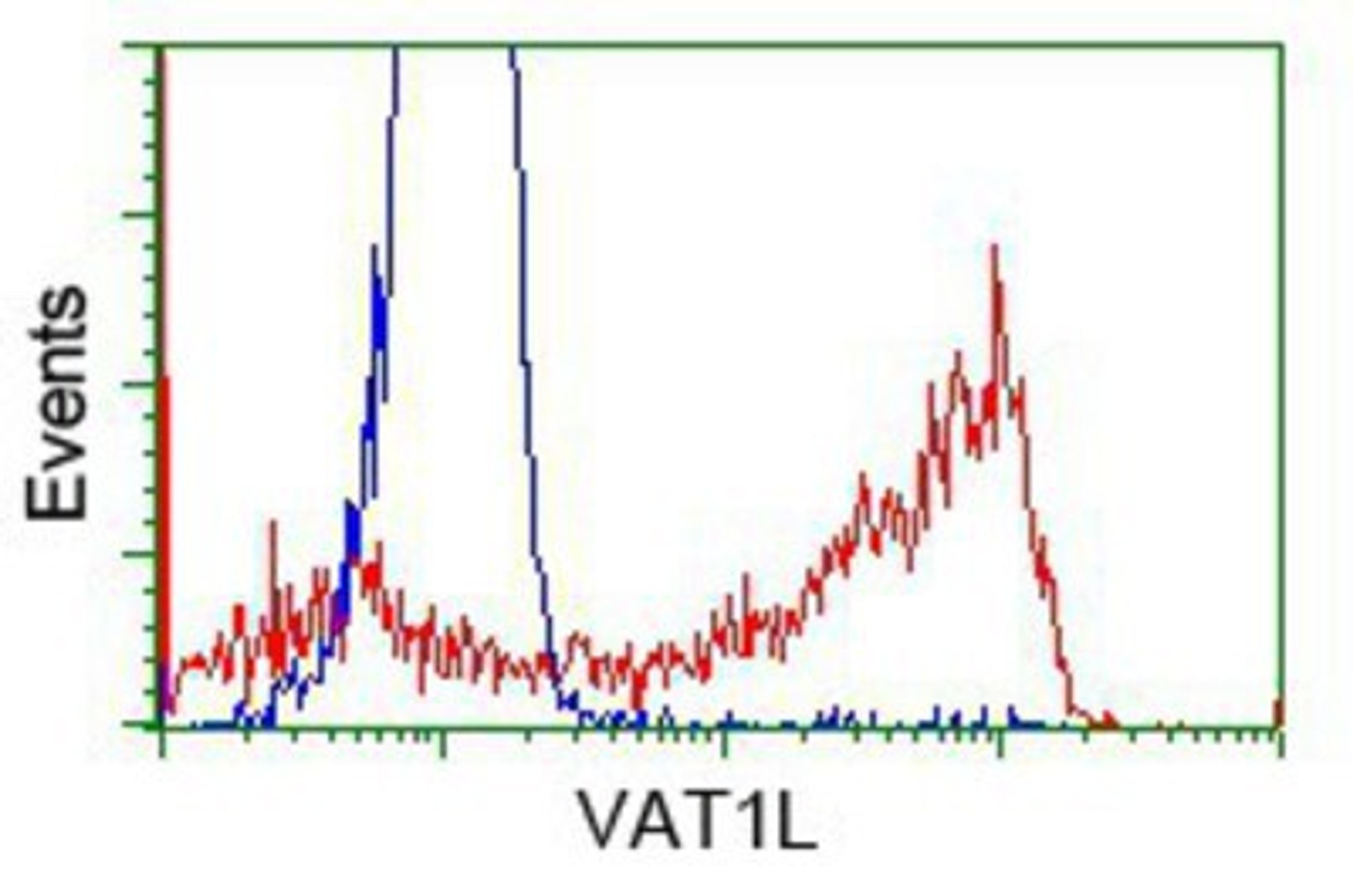 Flow Cytometry: VAT1L Antibody (1H3) [NBP2-02485] - HEK293T cells transfected with either pCMV6-ENTRY VAT1L.(Red) or empty vector control plasmid (Blue) were immunostained with anti-VAT1L mouse monoclonal, and then analyzed by flow cytometry.