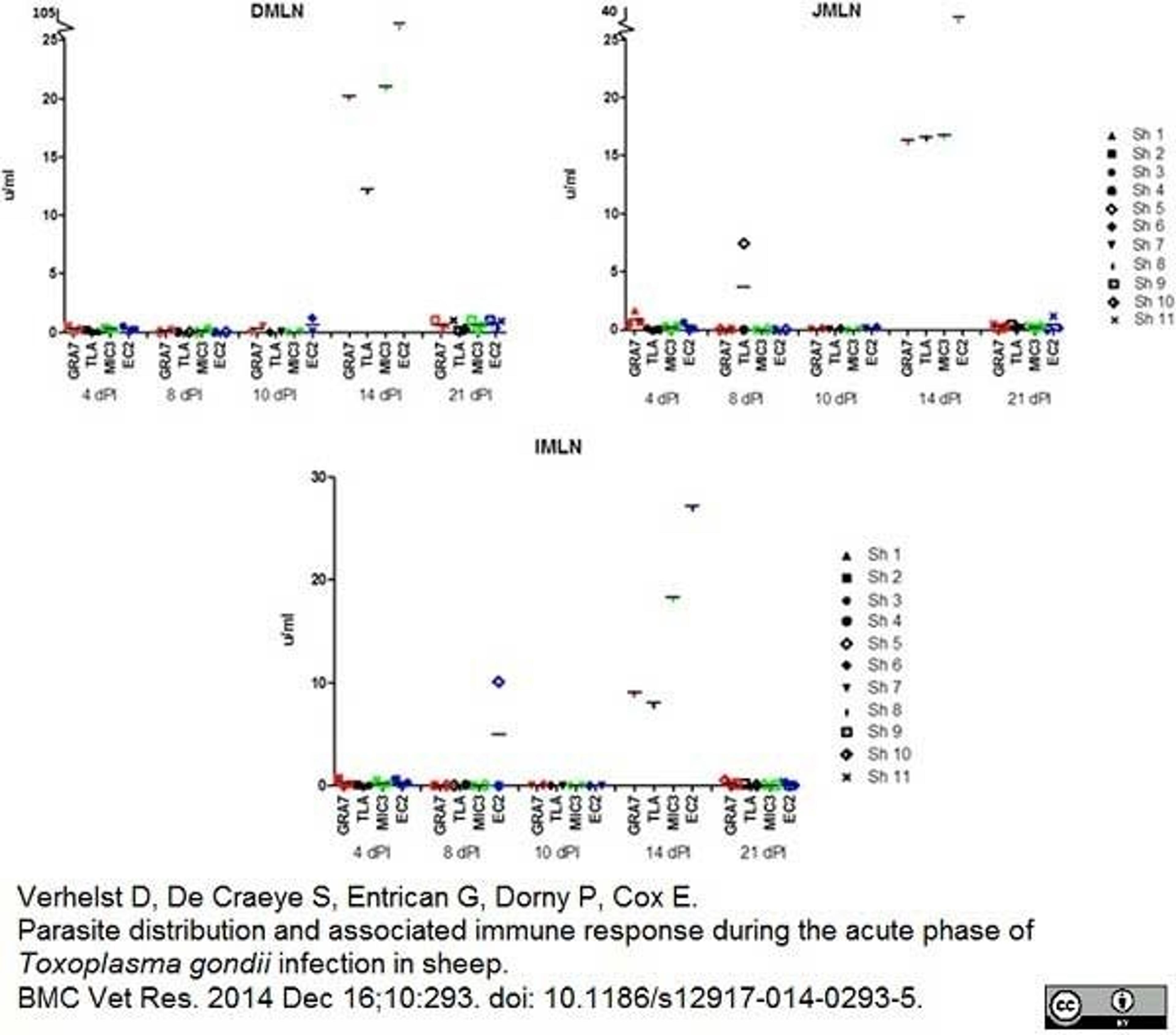 Mouse anti Bovine interleukin 12/23 used as a capture reagent in a sandwich ELISA