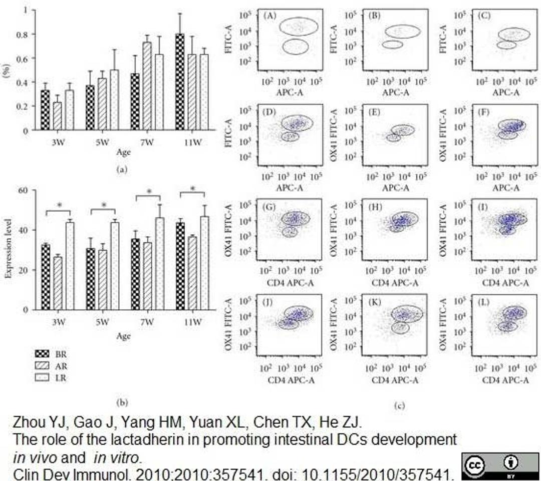 Mouse anti Rat CD172a antibody used for the flow cytometric analysis of Peyer&#39;s patch cells.