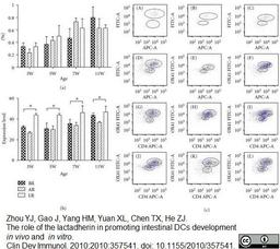 Mouse anti Rat CD172a antibody used for the flow cytometric analysis of Peyer&#39;s patch cells.