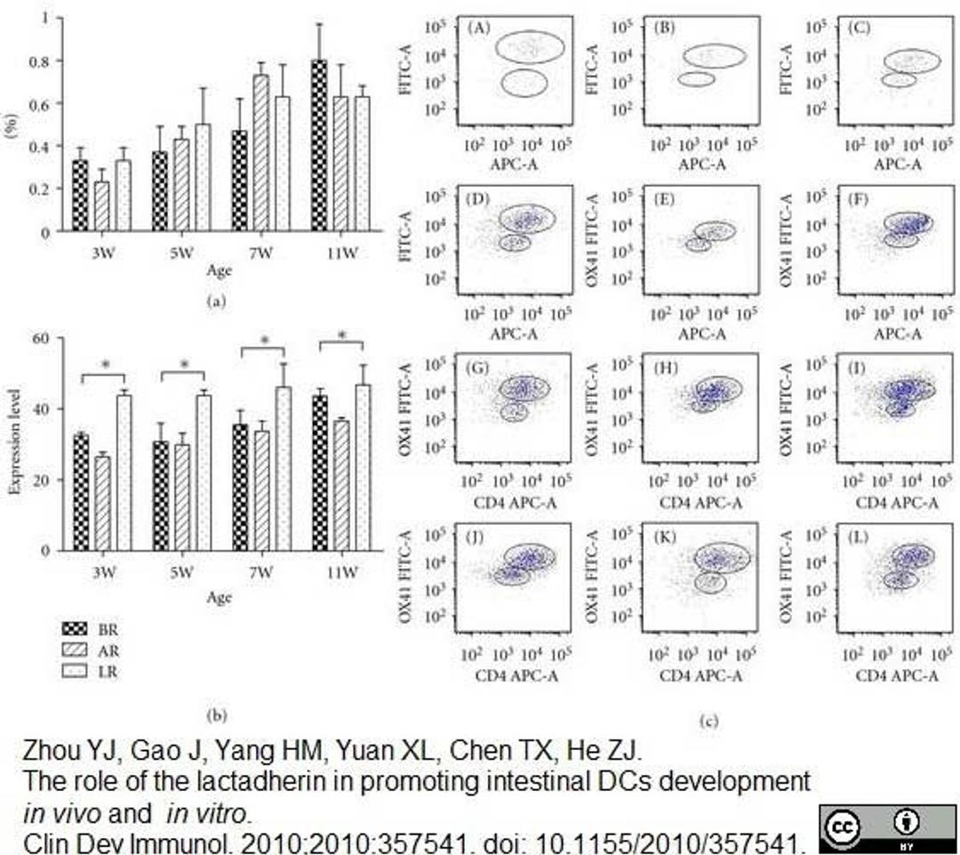 Mouse anti Rat CD172a antibody used for the flow cytometric analysis of Peyer's patch cells.