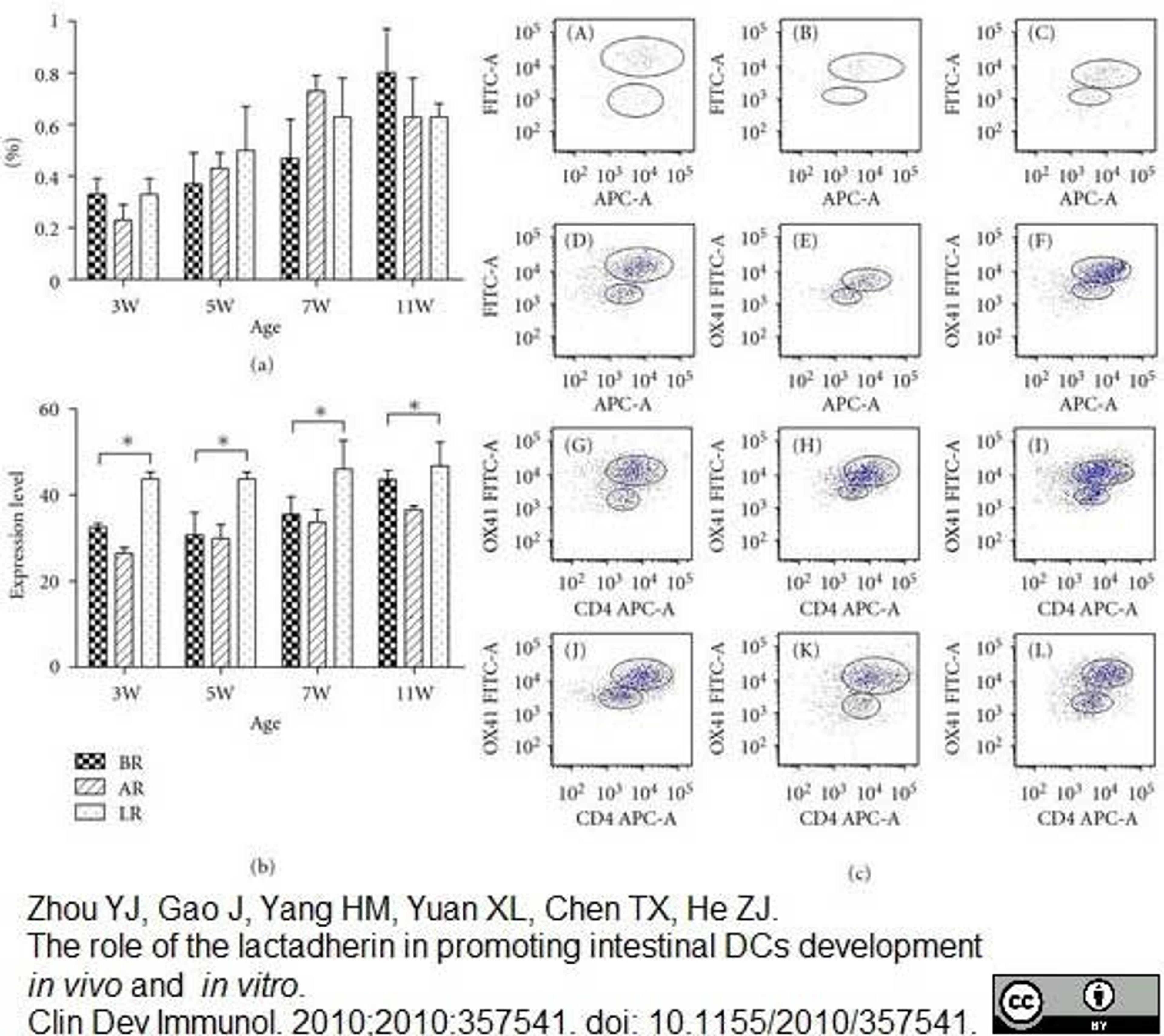 Mouse anti Rat CD172a antibody used for the flow cytometric analysis of Peyer's patch cells.