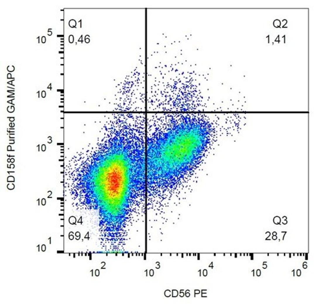 Flow cytometric analysis of human peripheral blood cells using CD158f antibody