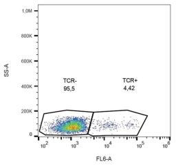  Flow cytometric analysis of human peripheral blood lymphocytes using TCR gamma/delta antibody