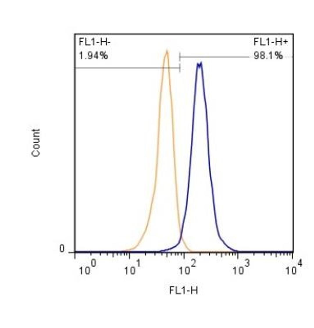 Flow Cytometry: S100B Antibody (15F4NB) [NBP2-45224] - Analysis using the Azide Free version of NBP2-45224. Staining of A431 cells (1 x 10^6 cells/ml) with S100B antibody, clone 15F4.1D2 (orange) stained at a dilution of 1:500. Detected with a GtxRb Dylight 488 secondary. Shown with the secondary control (blue).