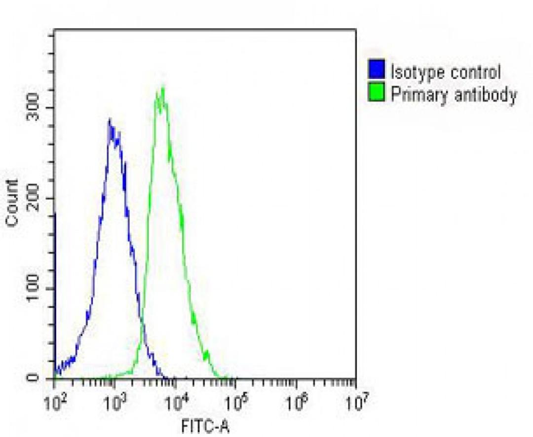 Overlay histogram showing SH-SY5Y cells stained with Antibody (green line). The cells were fixed with 2% paraformaldehyde (10 min) and then permeabilized with 90% methanol for 10 min. The cells were then icubated in 2% bovine serum albumin to block non-sp