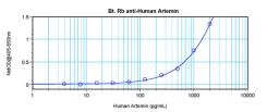 To detect hArtemin by sandwich ELISA (using 100 ul/well antibody solution) a concentration of 0.25 – 1.0 ug/ml of this antibody is required. This biotinylated polyclonal antibody, in conjunction with ProSci’s Polyclonal Anti-Human Artemin (38-103) as a ca