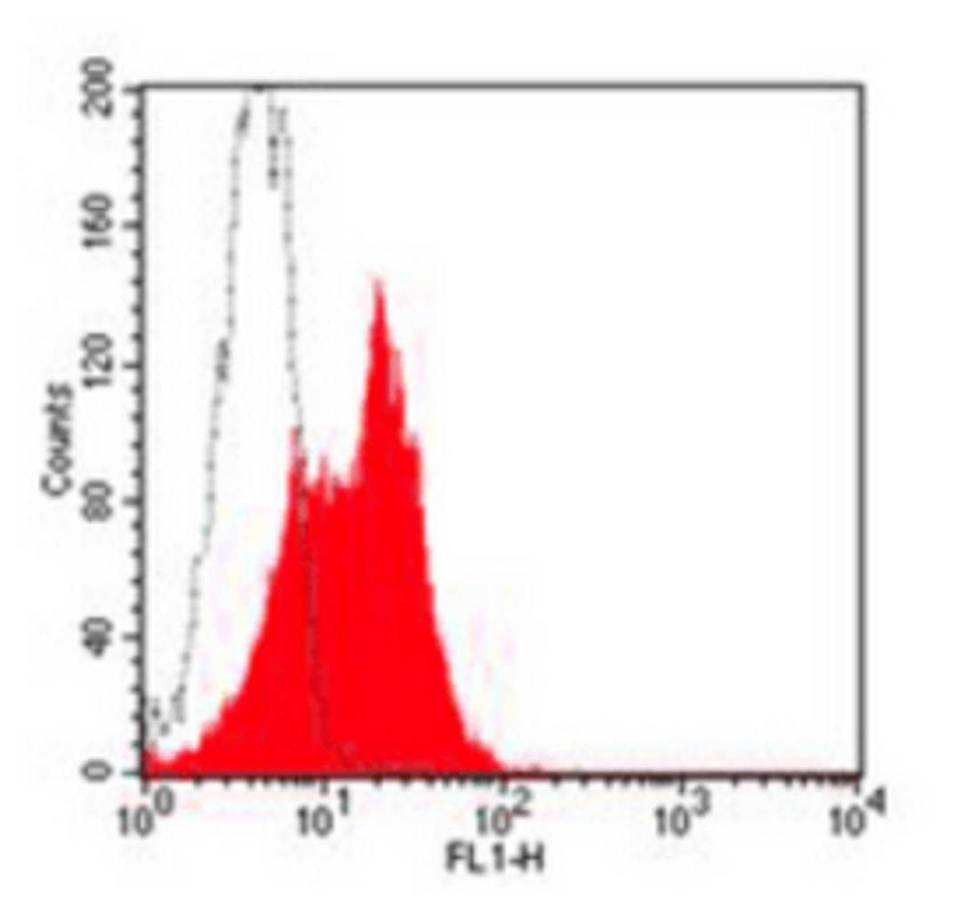 Flow cytometric analysis of human peripheral blood lymphocytes using ICAM1 antibody (FITC)