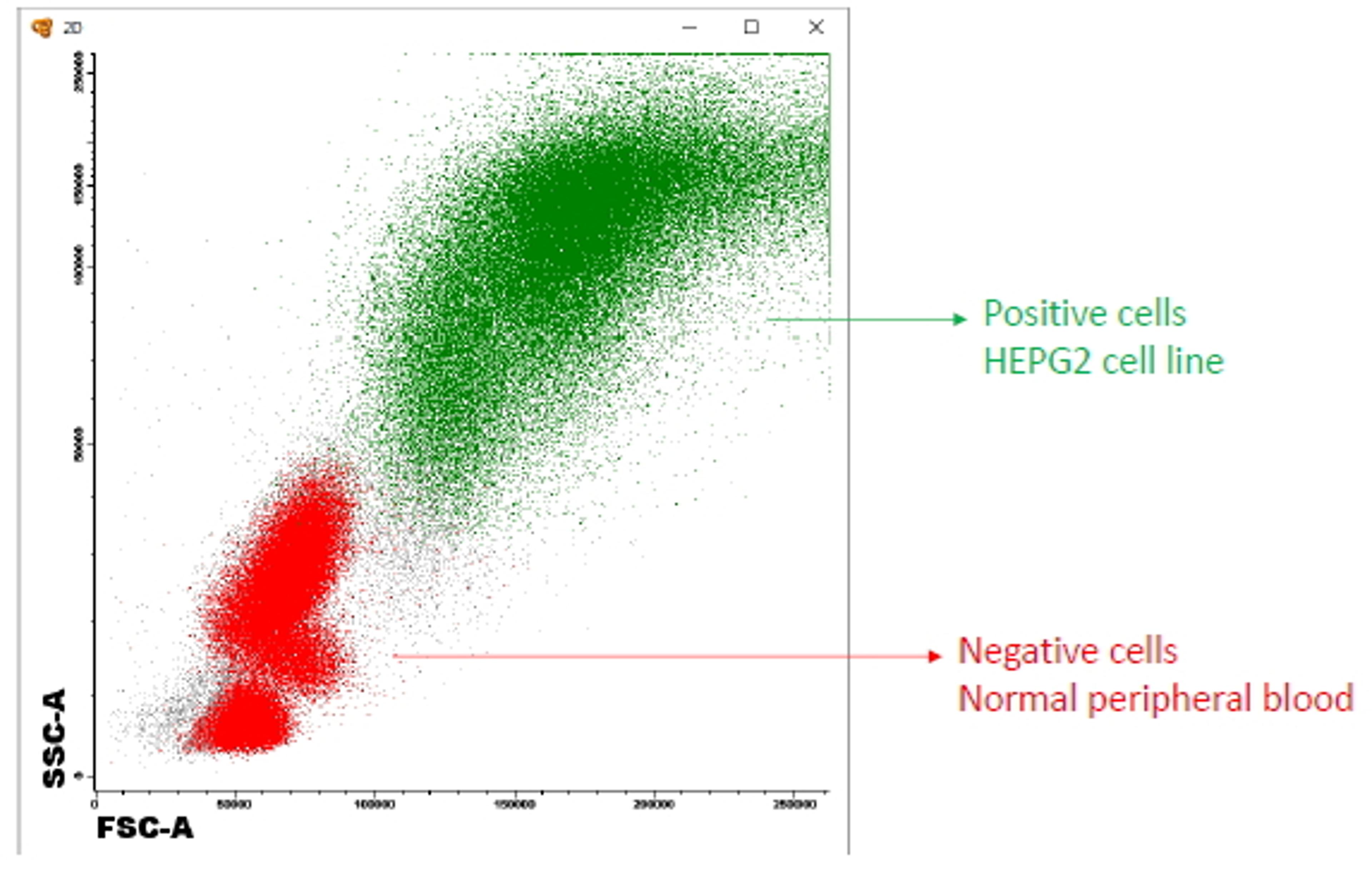 46-443 (2.5ul) staining of HepG2 cells mixed in with PBL. Detected by fluorescence with PE for SCD in green and with OC515 for CD45 (CYT-450C) in red.