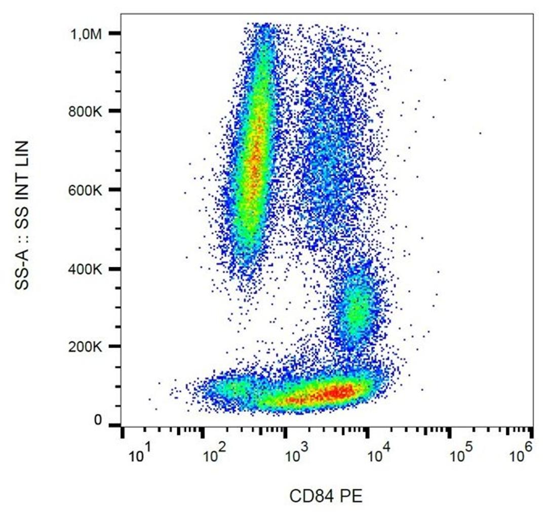 Flow cytomeric analysis of human peripheral blood using CD84 antibody (PE)