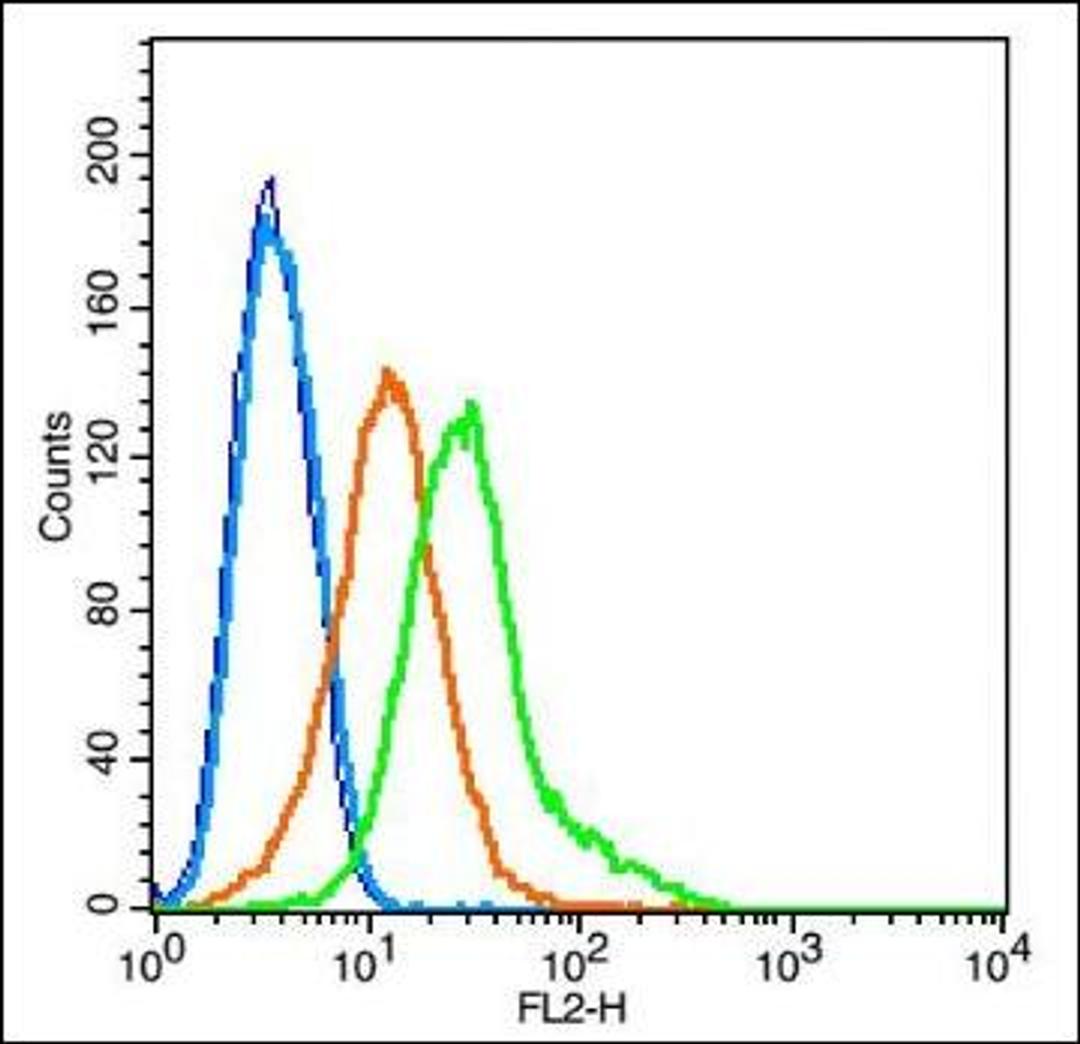 Flow cytometric analysis of Rsc96 cell using HB9 antibody.