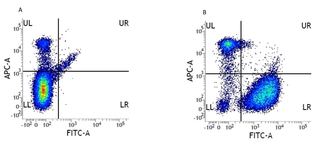 Figure A. mouse anti human CD14. Figure B. mouse anti human CD14 and mouse anti human CD66b.