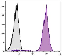 Chicken peripheral blood mononuclear cells were stained with Mouse Anti-Chicken CD44-PE (Cat. No. 99-317).