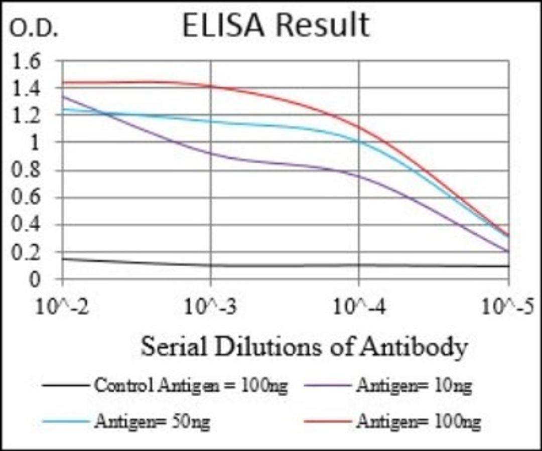 ELISA: beta 2-Microglobulin Antibody (4G5A1) [NBP2-37284] - Red: Control Antigen (100ng); Purple: Antigen (10ng); Green: Antigen (50ng); Blue: Antigen (100ng);