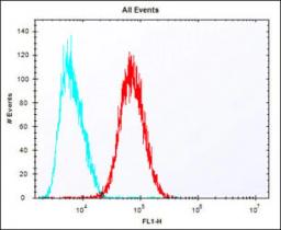 Overlay histogram showing HepG2 cells stained with Antibody (red line). The cells were fixed with 2% paraformaldehyde (10 min) and then permeabilized with 90% methanol for 10 min. The cells were then icubated in 2% bovine serum albumin to block non-specif