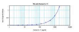 To detect hIL-11 by sandwich ELISA (using 100 ul/well antibody solution) a concentration of 0.5 - 2.0 ug/ml of this antibody is required. This antigen affinity purified antibody, in conjunction with ProSci’s Biotinylated Anti-Human IL-11 (XP-5164Bt) as a