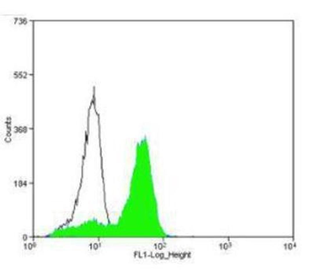 Flow Cytometry: CD31/PECAM-1 Antibody [NBP1-71663] - CD31/PECAM1 antibody was tested in WeHi cells with Dylight 488 (green) alongside a matched isotype control (black).