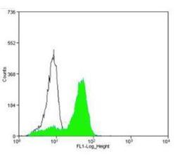 Flow Cytometry: CD31/PECAM-1 Antibody [NBP1-71663] - CD31/PECAM1 antibody was tested in WeHi cells with Dylight 488 (green) alongside a matched isotype control (black).