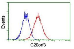 Flow Cytometry: APMAP Antibody (4F6) [NBP2-01716] - Analysis of Hela cells, using anti-APMAP antibody, (Red), compared to a nonspecific negative control antibody (Blue).