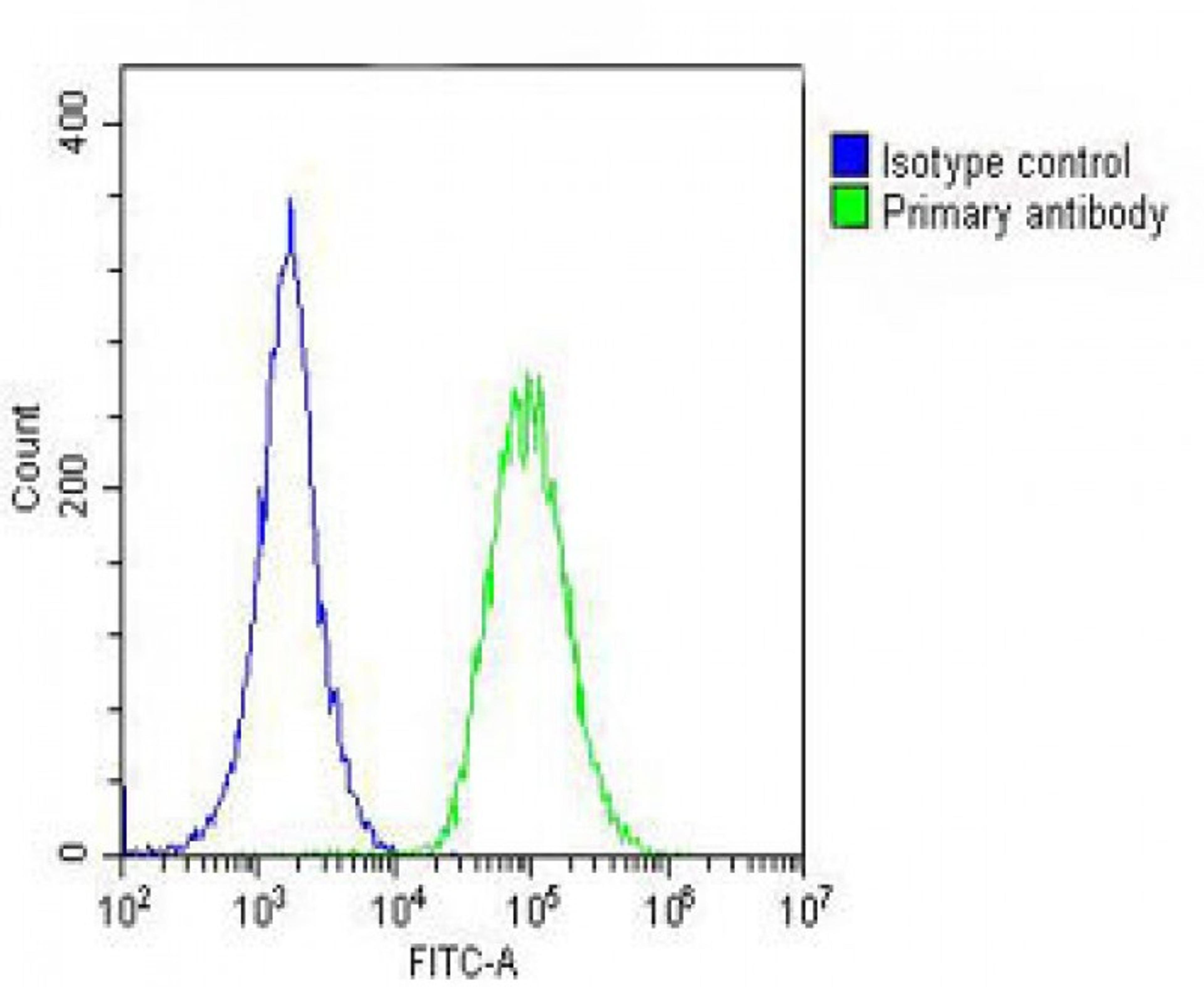 Overlay histogram showing A549 cells stained with Antibody (green line). The cells were fixed with 2% paraformaldehyde (10 min). The cells were then icubated in 2% bovine serum albumin to block non-specific protein-protein interactions followed by the ant