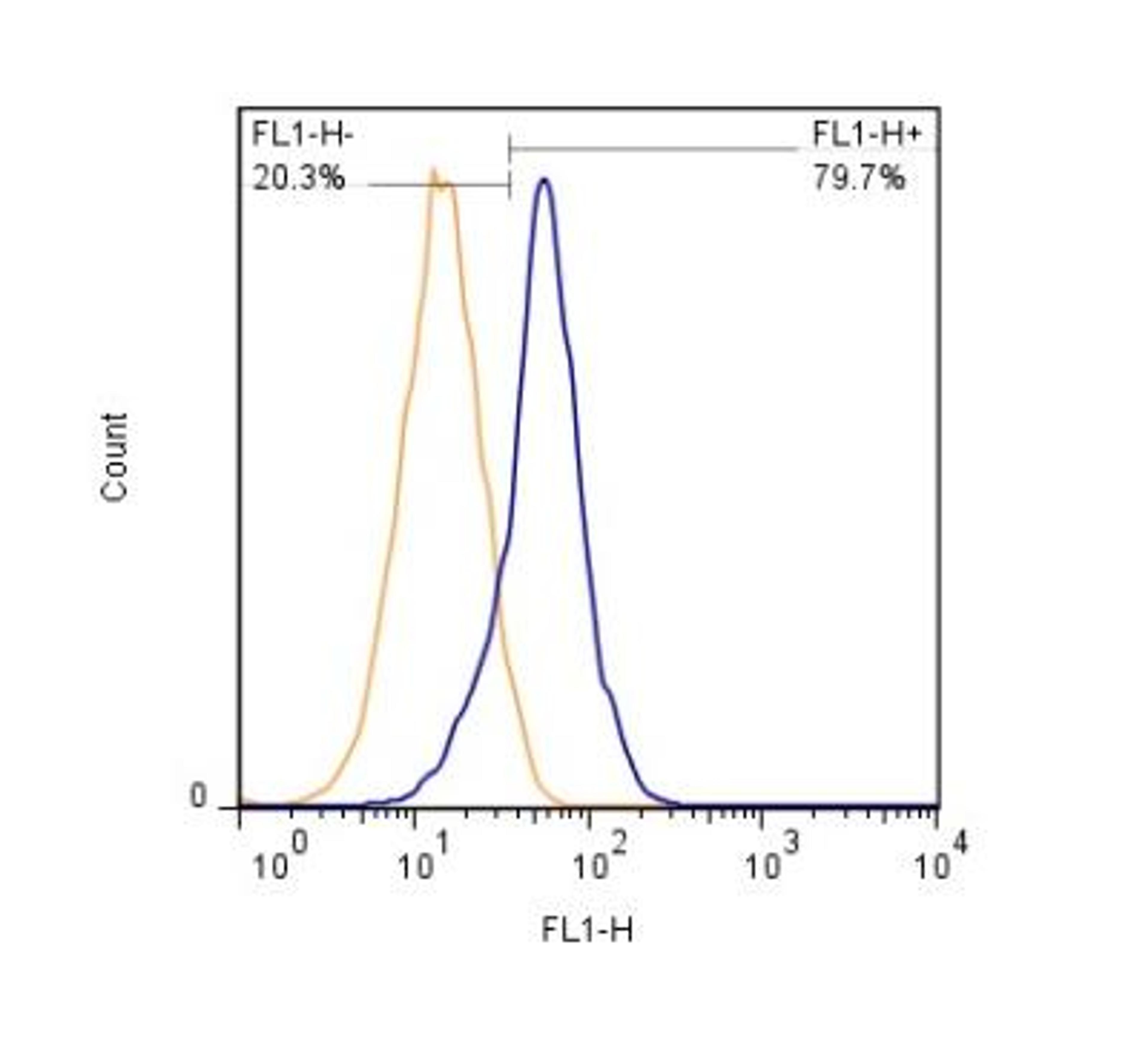 Flow Cytometry: SLC34A1 Antibody (10B1.3E9) [NBP2-42216] - FLOW detection of SLC34A1 protein on HEK293 cells -  After fixation and permeabilization, 2 x 10^6 cells/ml were stained using SLC34A1 antibody (clone 10B1.3E9) at 1:1000 dilution. Signal was developped using GtxMs dylight 488 secondary (blue peak). Shown with secondary control (orange peak). Data was acquired on BD FACSCalibur.