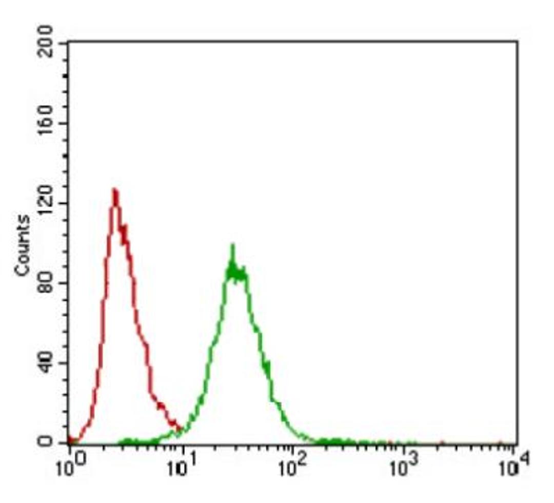 Flow Cytometry: ZEB1 Antibody (2A8A6) [NBP2-23484] - Flow cytometric analysis of Hela cells using ZEB1 mouse mAb (green) and negative control (red).