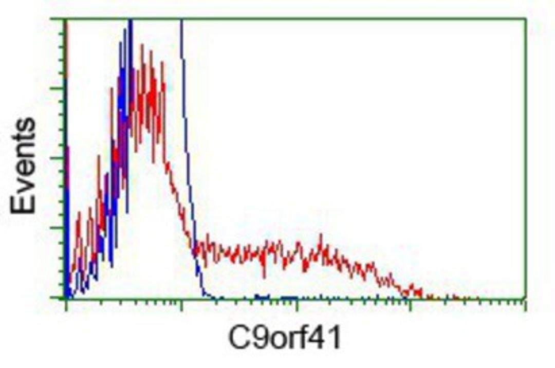 Flow Cytometry: C9orf41 Antibody (4B7) [NBP2-02664] - HEK293T cells transfected with either overexpression plasmid (Red) or empty vector control plasmid (Blue) were immunostained by anti-C9orf41 antibody, and then analyzed by flow cytometry.