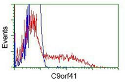 Flow Cytometry: C9orf41 Antibody (4B7) [NBP2-02664] - HEK293T cells transfected with either overexpression plasmid (Red) or empty vector control plasmid (Blue) were immunostained by anti-C9orf41 antibody, and then analyzed by flow cytometry.