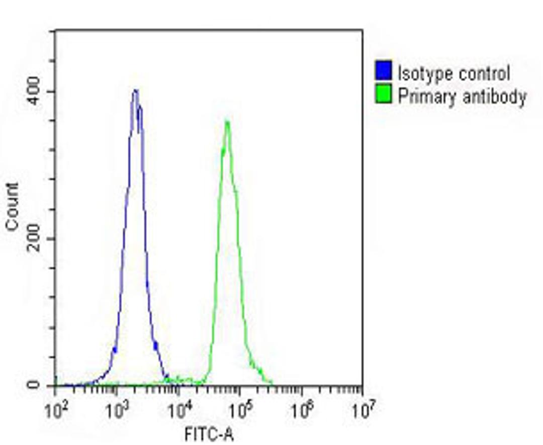 Overlay histogram showing THP-1 cells stained with Antibody (green line). The cells were fixed with 2% paraformaldehyde (10 min) and then permeabilized with 90% methanol for 10 min. The cells were then icubated in 2% bovine serum albumin to block non-spec