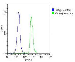 Overlay histogram showing THP-1 cells stained with Antibody (green line). The cells were fixed with 2% paraformaldehyde (10 min) and then permeabilized with 90% methanol for 10 min. The cells were then icubated in 2% bovine serum albumin to block non-spec