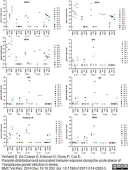 Mouse anti Bovine interferon gamma used as a capture reagent in a sandwich ELISA