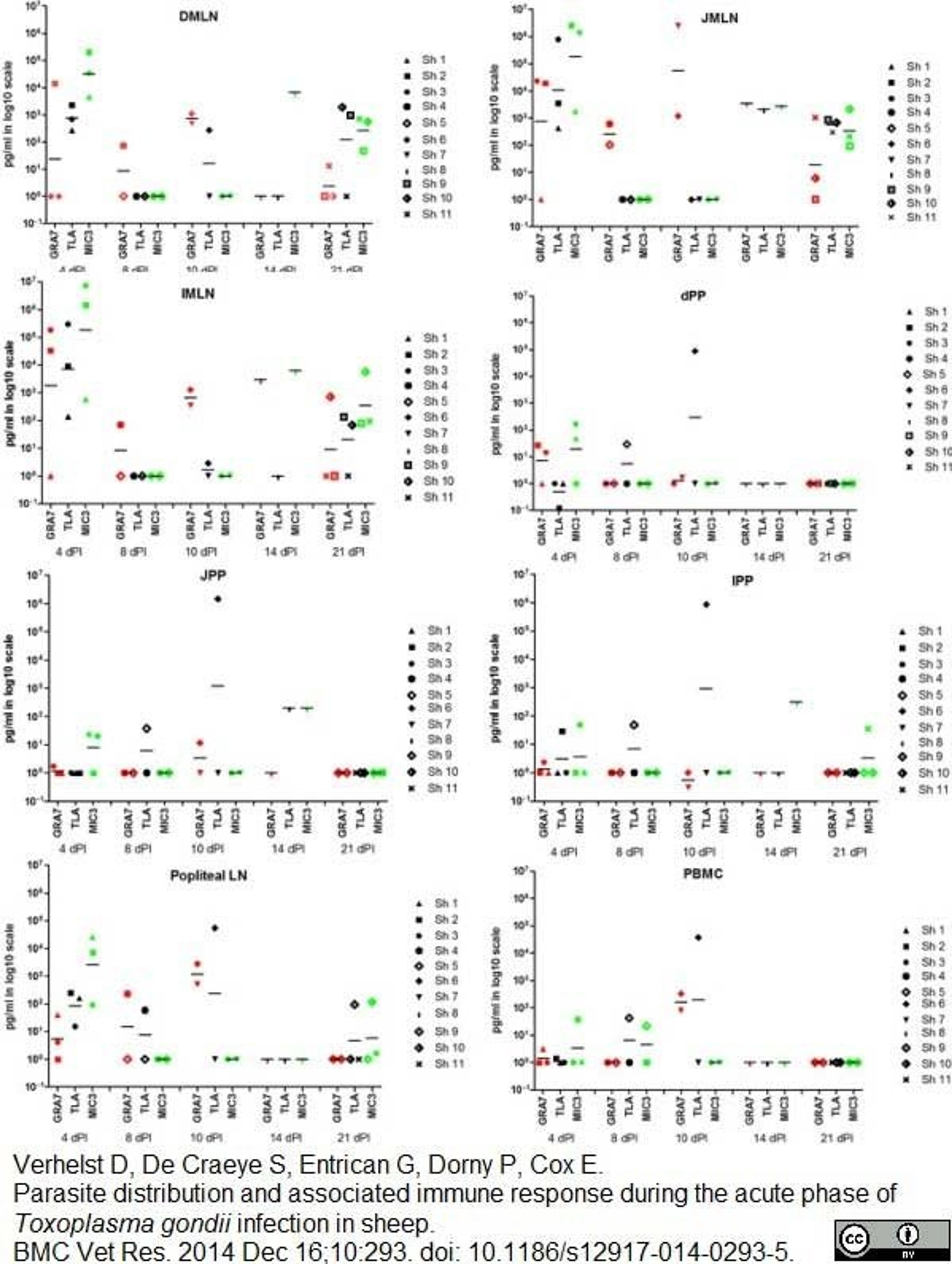 Mouse anti Bovine interferon gamma used as a capture reagent in a sandwich ELISA