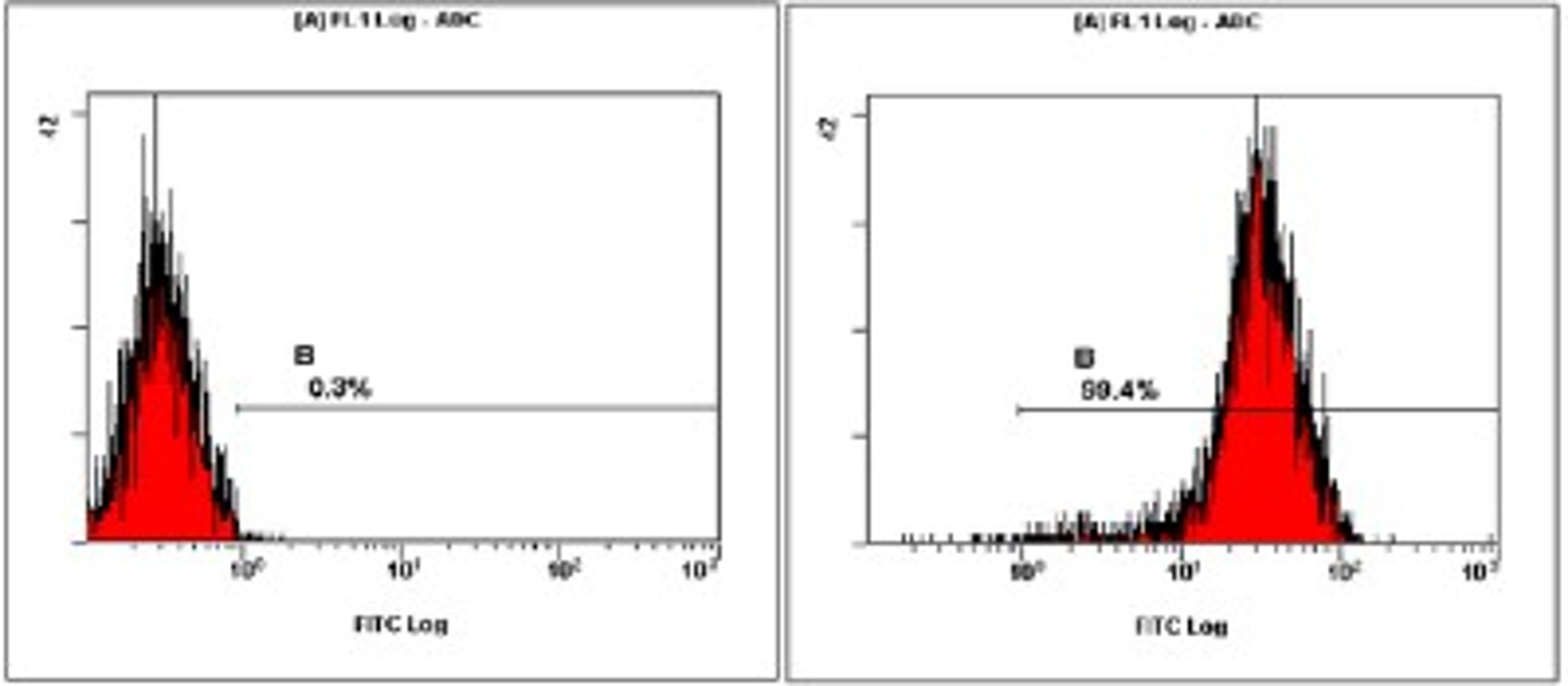 Flow Cytometry: OCT4 Antibody [NB100-2379] - Staining of NTERA-2  cells using NB100-2379 at a 1:50 dilution detected using Dylight-488 conjugated goat anti-rabbit secondary antibody.