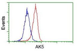 Flow Cytometry: AK5 Antibody (2F9) [NBP2-02978] - Analysis of Hela cells, using anti-AK5 antibody, (Red), compared to a nonspecific negative control antibody (Blue).