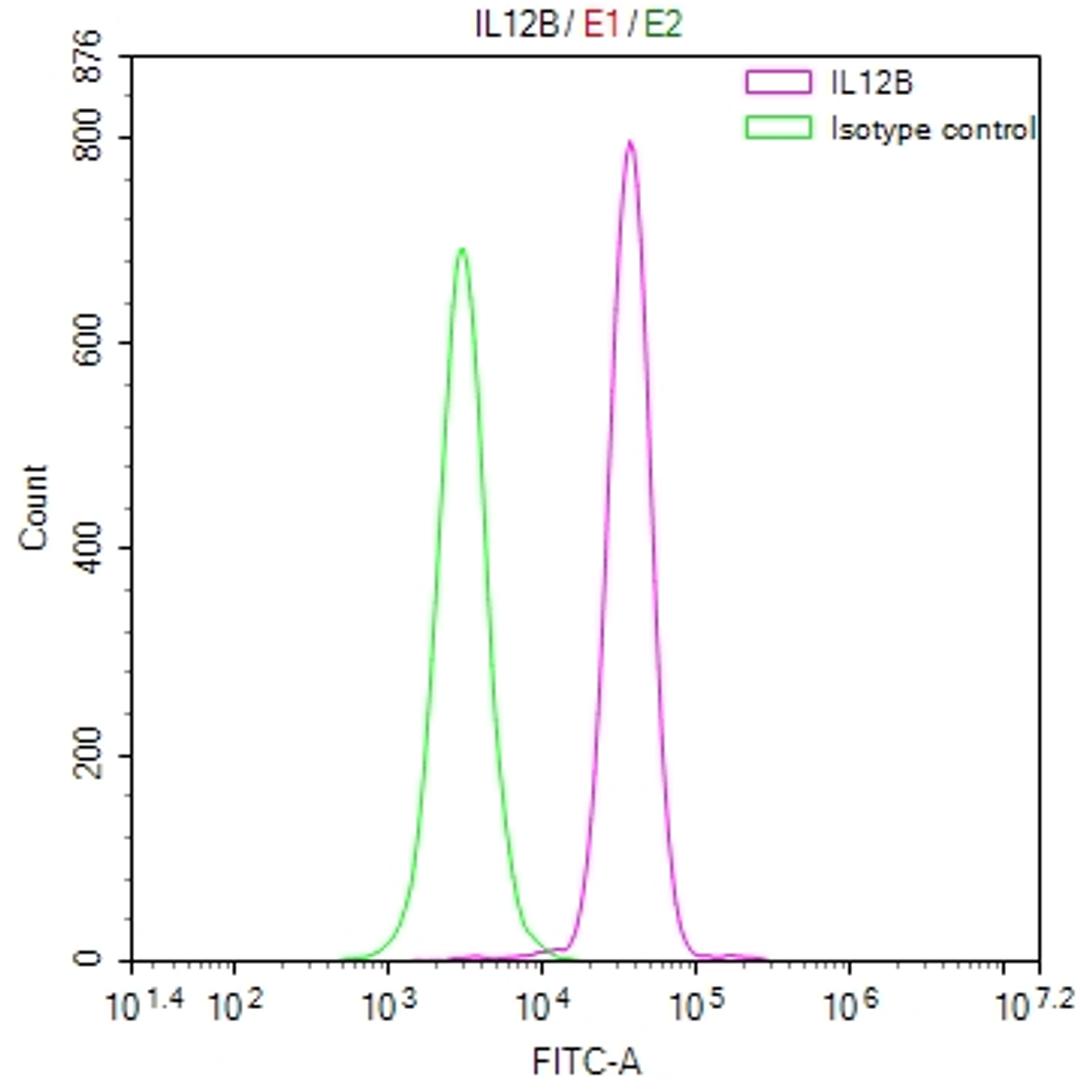 Overlay Peak curve showing A549 cells stained with CSB-RA895985A0HU (red line) at 1:50. The cells were fixed in 4% formaldehyde and permeated by 0.2% TritonX-100. Then 10% normal goat serum to block non-specific protein-protein interactions followed by the antibody (1µg/1*10<sup>6</sup>cells) for 45min at 4℃. The secondary antibody used was FITC-conjugated Goat Anti-rabbit IgG(H+L) at 1:200 dilution for 35min at 4℃.Control antibody (green line) was rabbit IgG (1µg/1*10<sup>6</sup>cells) used under the same conditions. Acquisition of >10,000 events was performed.
