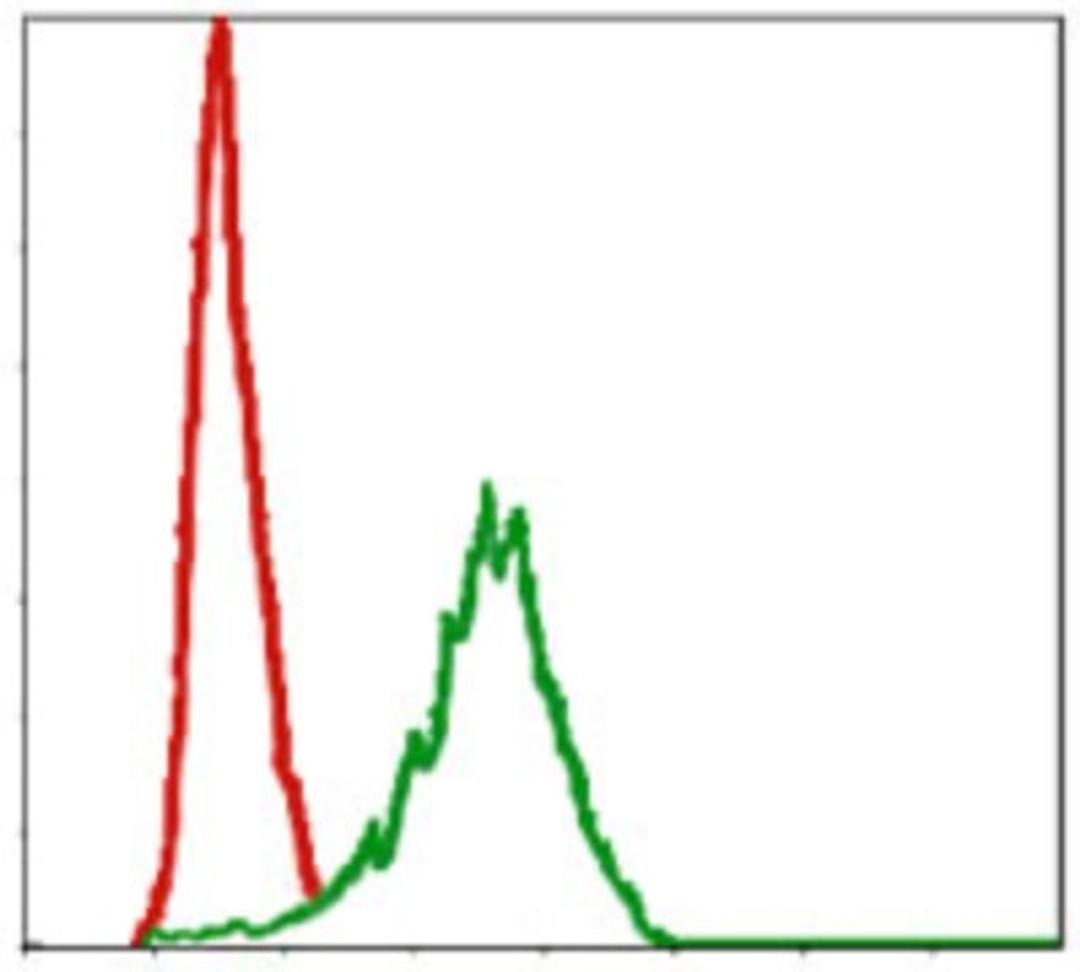 Flow Cytometry: Pref-1/DLK1/FA1 Antibody (3A10) [NBP2-37548] - Flow cytometric analysis of NIH/3T3 cells using DLK1 mouse mAb (green) and negative control (red).