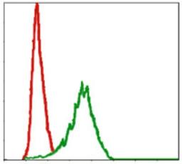 Flow Cytometry: Pref-1/DLK1/FA1 Antibody (3A10) [NBP2-37548] - Flow cytometric analysis of NIH/3T3 cells using DLK1 mouse mAb (green) and negative control (red).