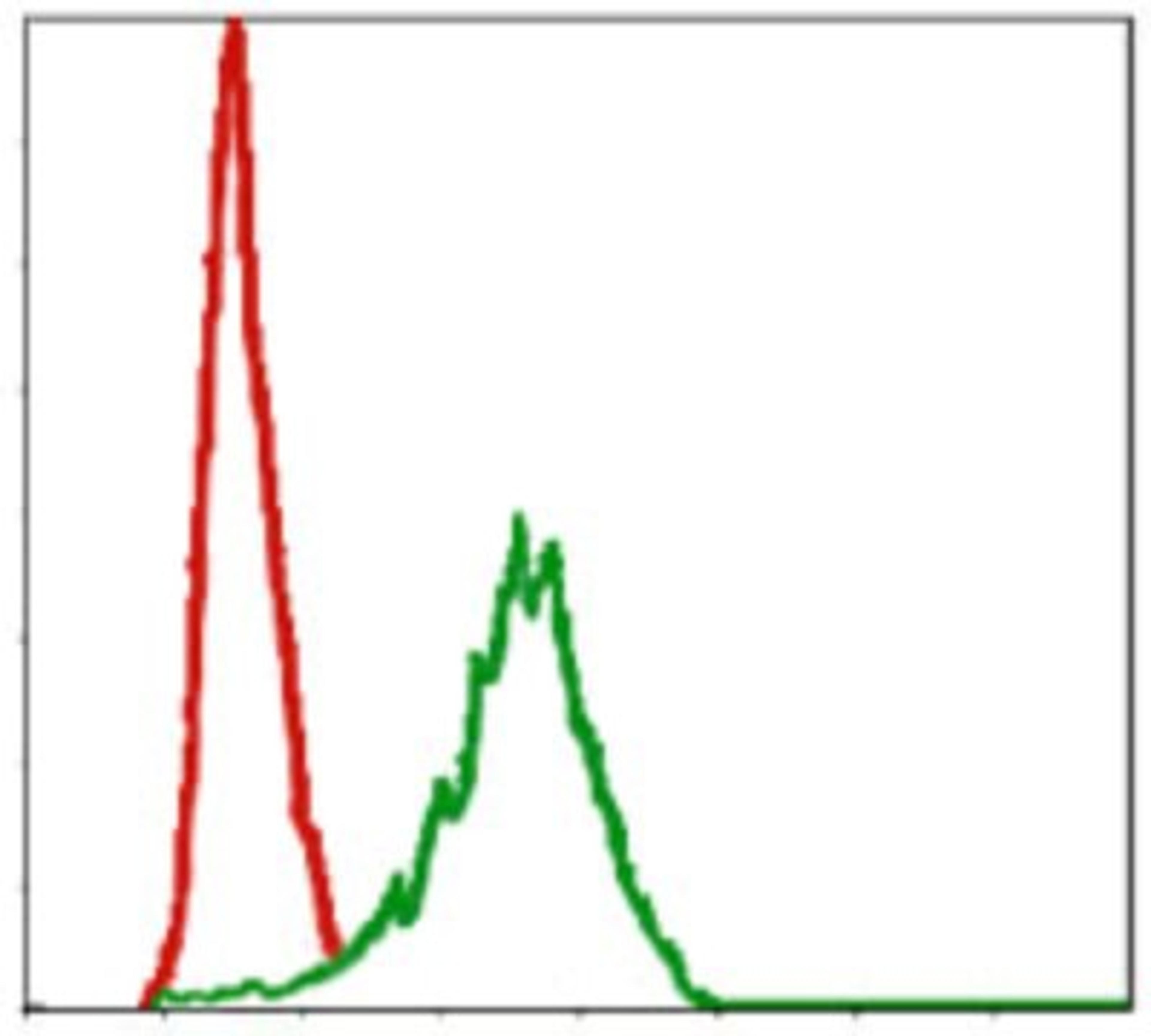 Flow Cytometry: Pref-1/DLK1/FA1 Antibody (3A10) [NBP2-37548] - Flow cytometric analysis of NIH/3T3 cells using DLK1 mouse mAb (green) and negative control (red).